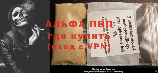 шишки Сосновый Бор