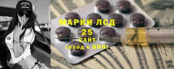 ПСИЛОЦИБИНОВЫЕ ГРИБЫ Баксан