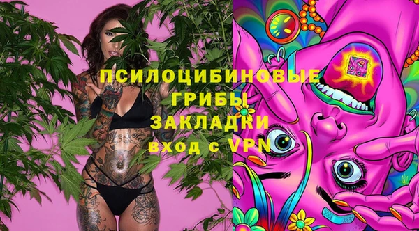 ПСИЛОЦИБИНОВЫЕ ГРИБЫ Баксан